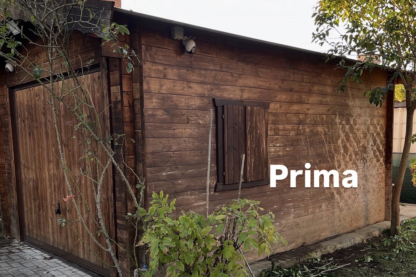 PRIMA