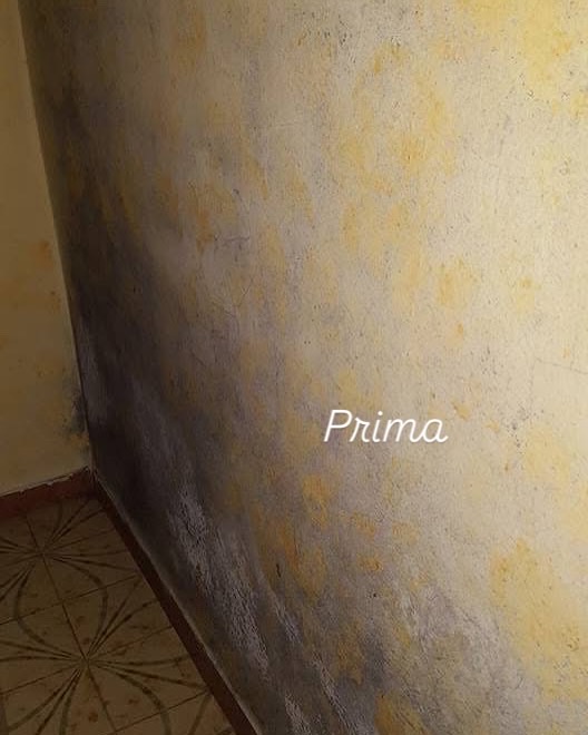 PRIMA